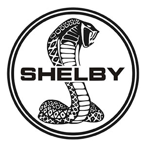 SHELBY谢尔比