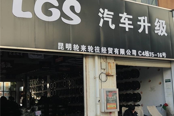 LGS汽车升级